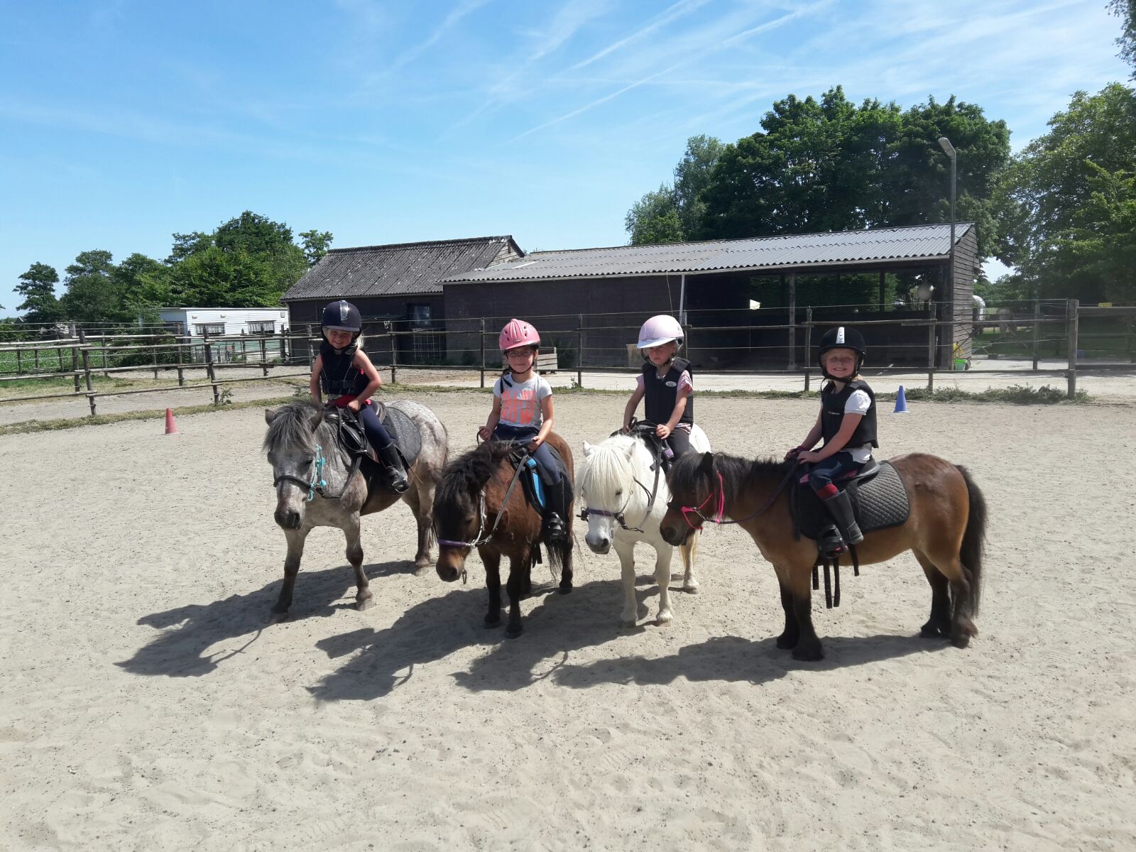 pony dag